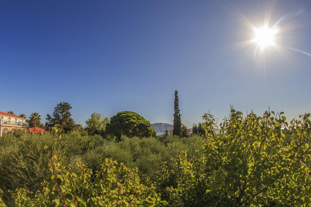 Olive Grove Apts Lithakia  Phòng bức ảnh