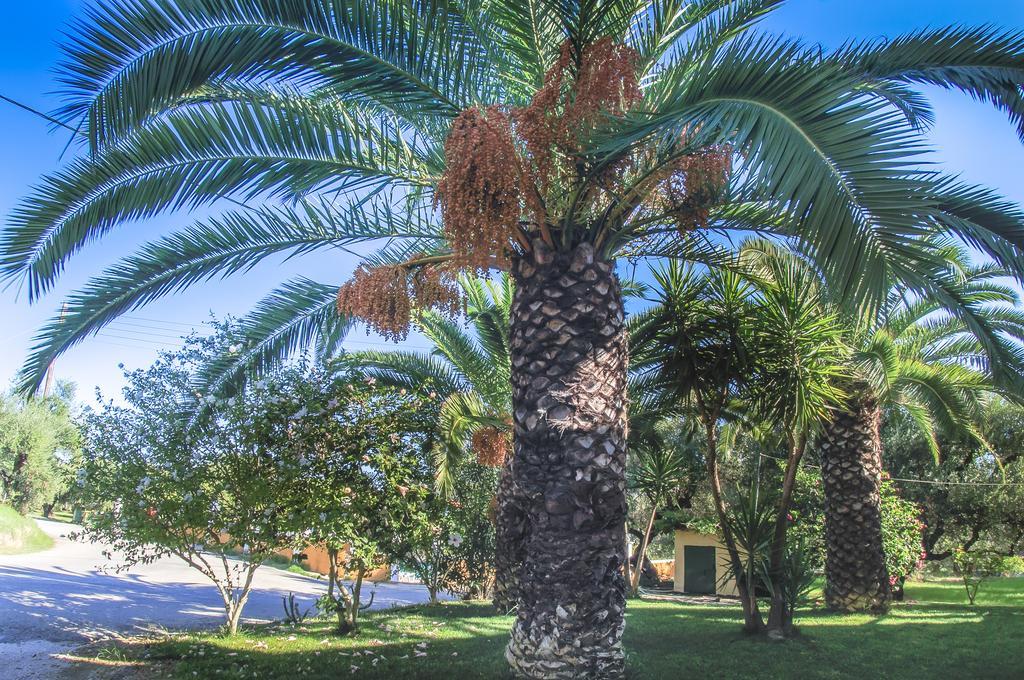 Olive Grove Apts Lithakia  Phòng bức ảnh